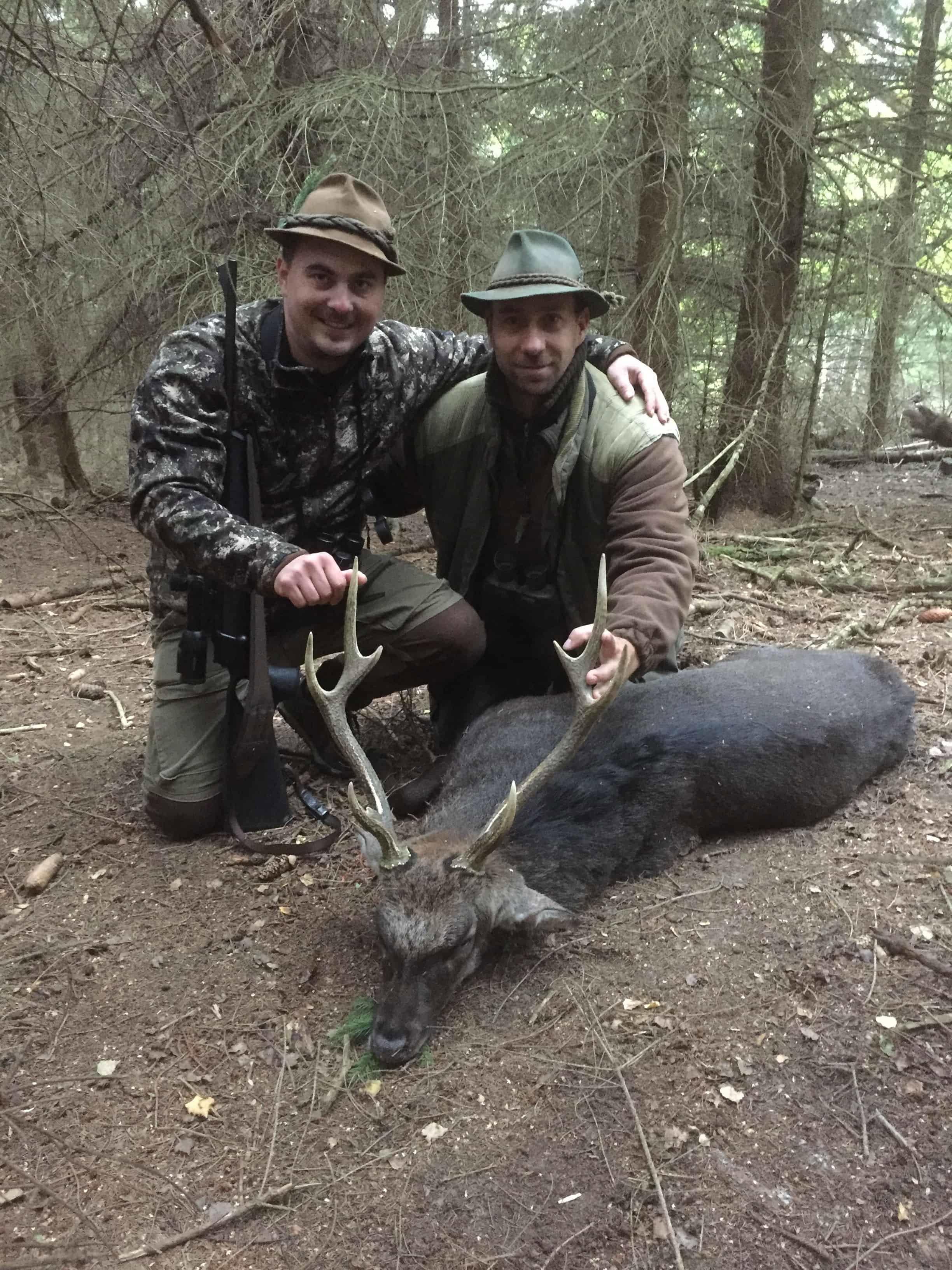 Jagd in Waidhofen an der Thaya: Wildvorkommen, Landschaft, Methoden, Rahmenbedingungen, Jägerschaft, Saisonablauf, Brauchtum, Fakten   