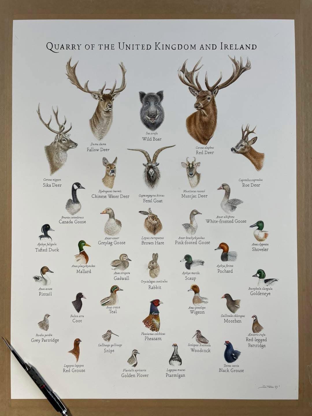 **All prints and original now sold**