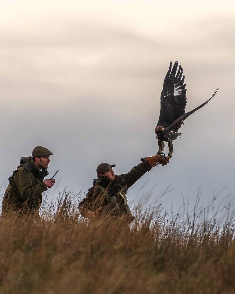 Medieval style hunting !