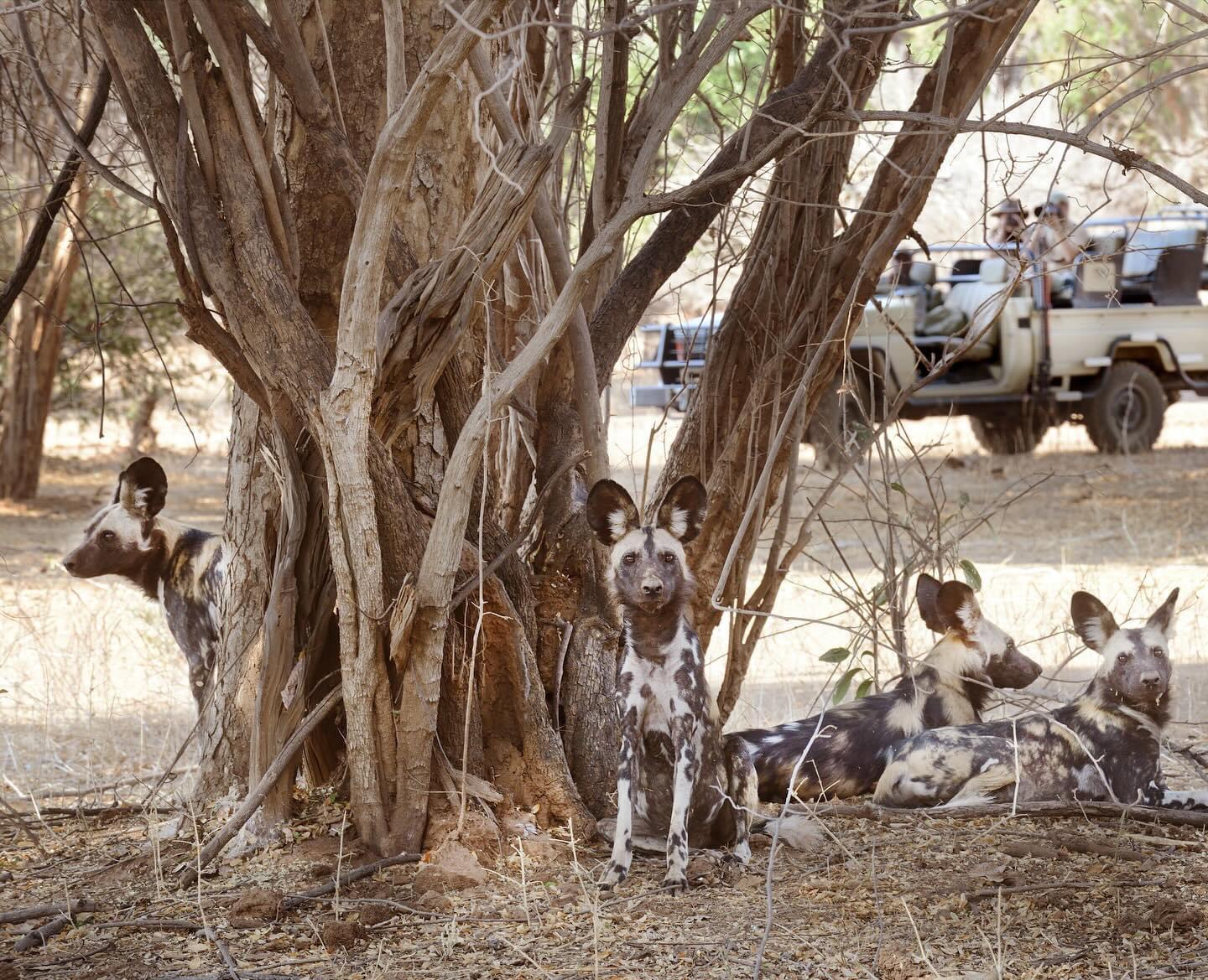 Africa’s favourite bushcamp, as voted by the readers of #travelafricamagazine.