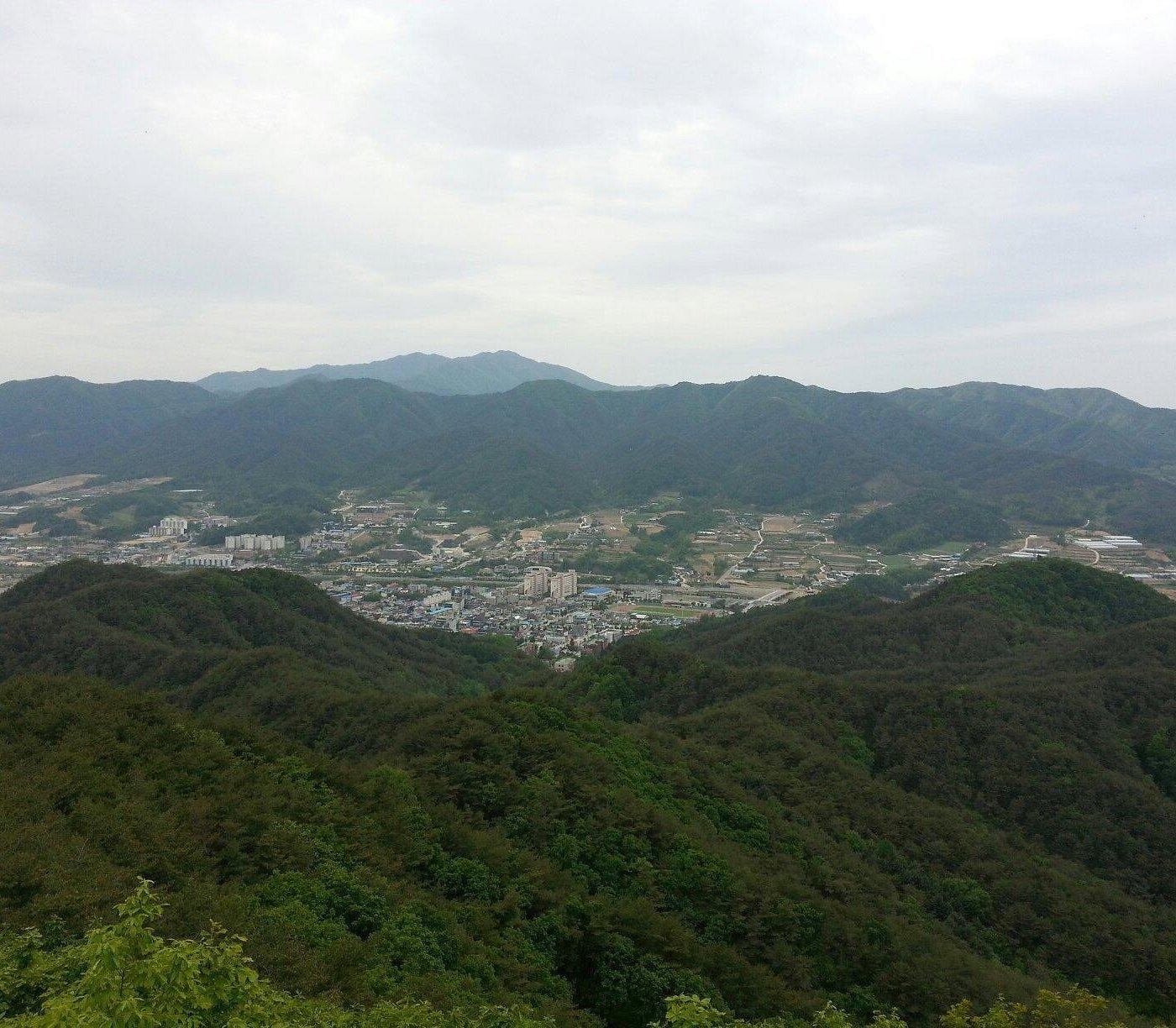 양구군 공공 사냥터 