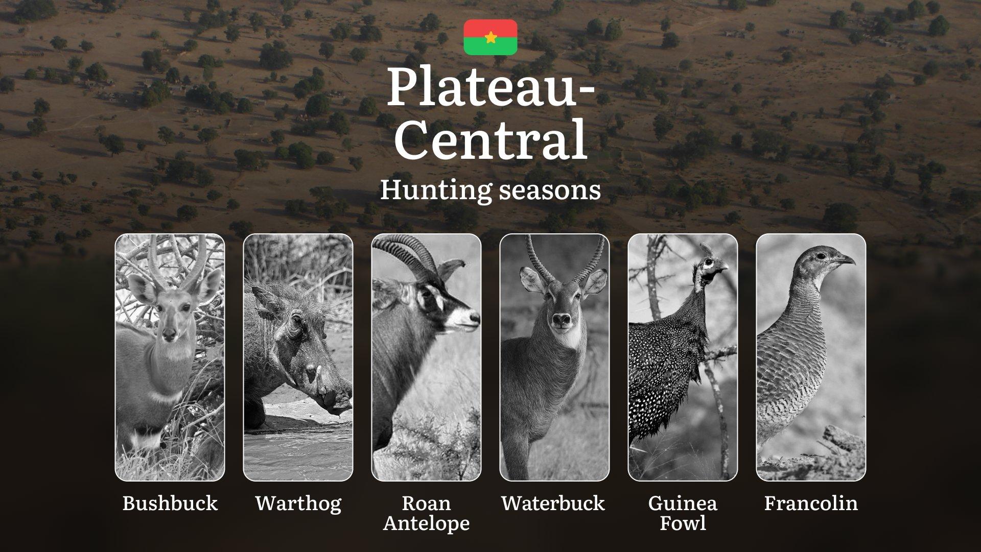 Hunting Seasons in PLATEAU-CENTRAL: Optimal Hunting Periods, General Rules, Protected Species, Required Documents and Practical Tips