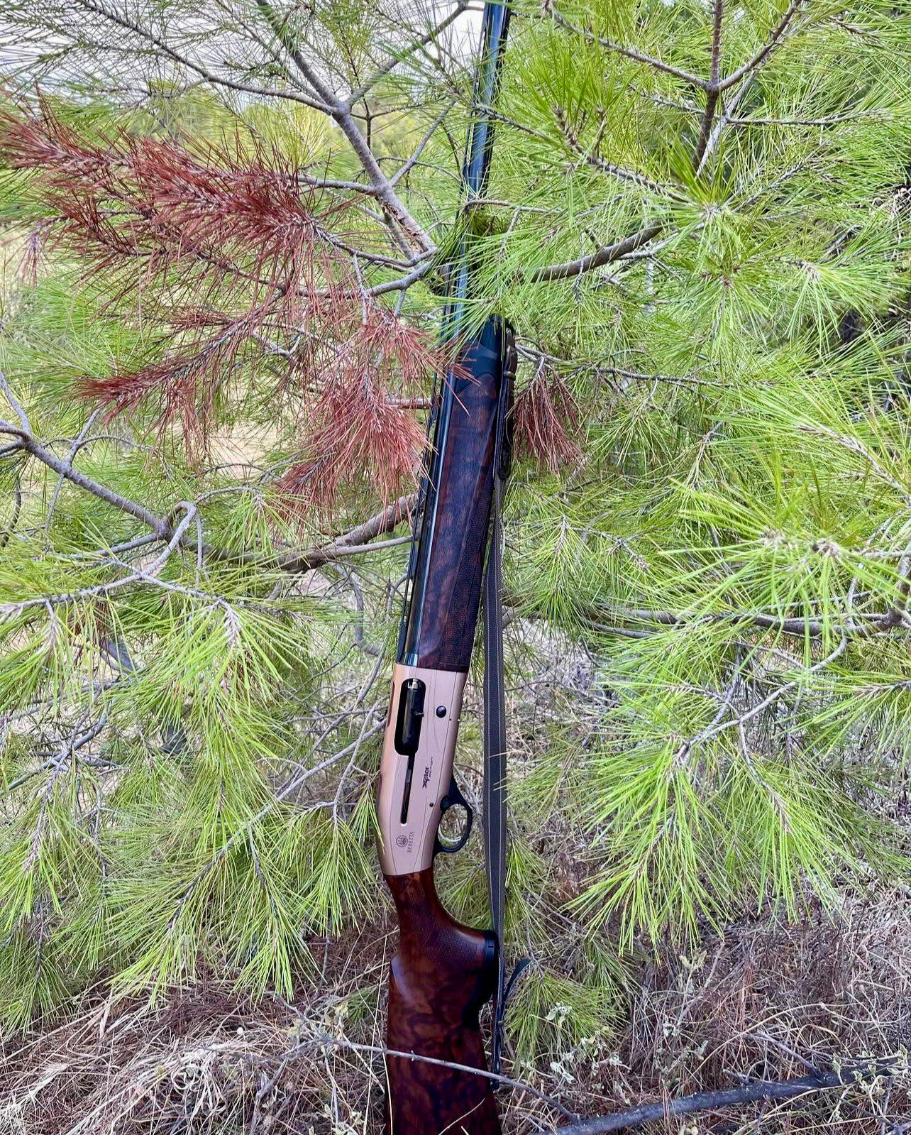 Ружье полуавтомат Beretta A400 Xplor: характеристики, калибры, цена, отзывы