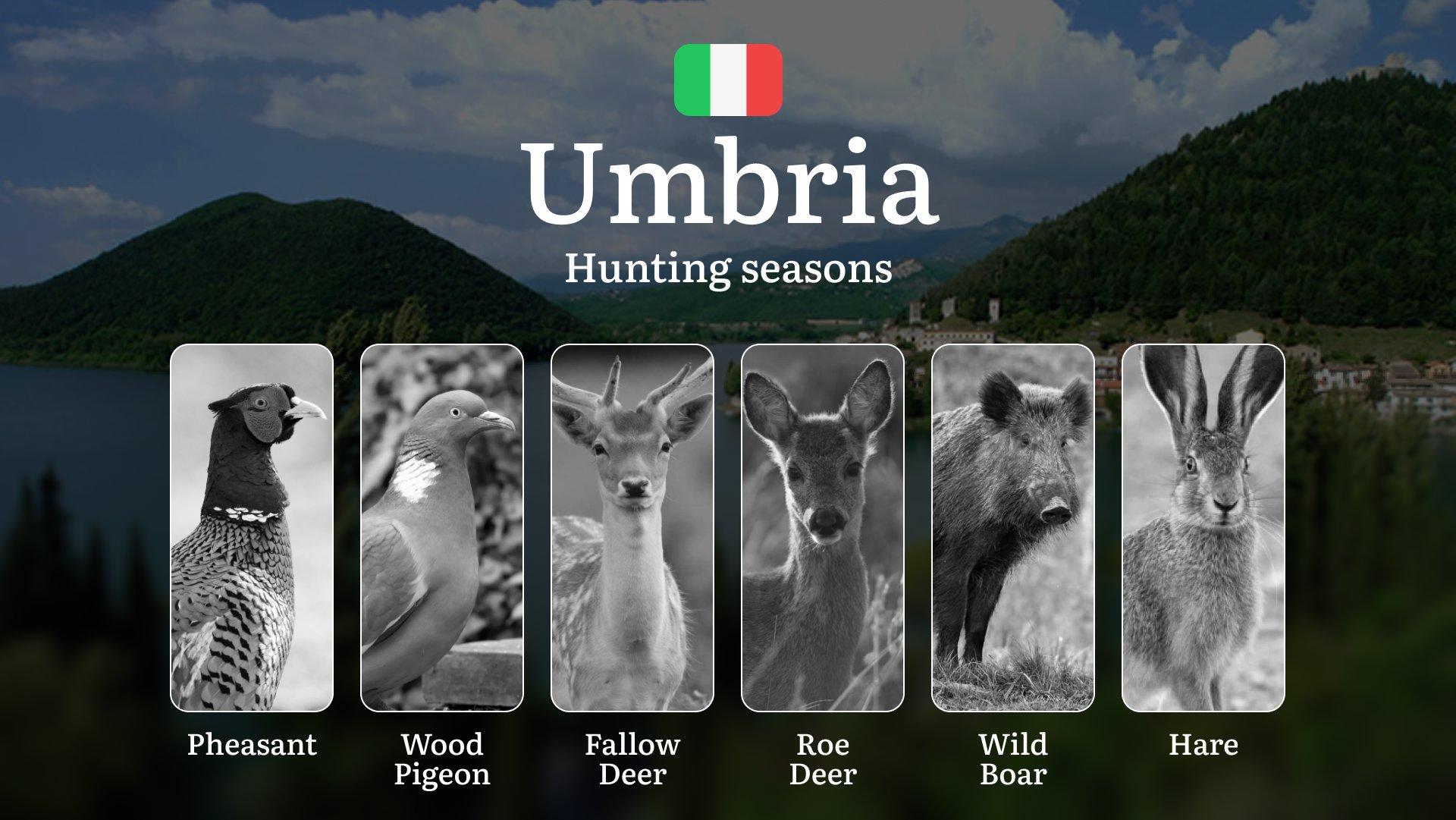 From Trasimeno to the Apennines: Umbria's Hunting Seasons Explained – Opening Dates, Special Permits and Prohibited Periods