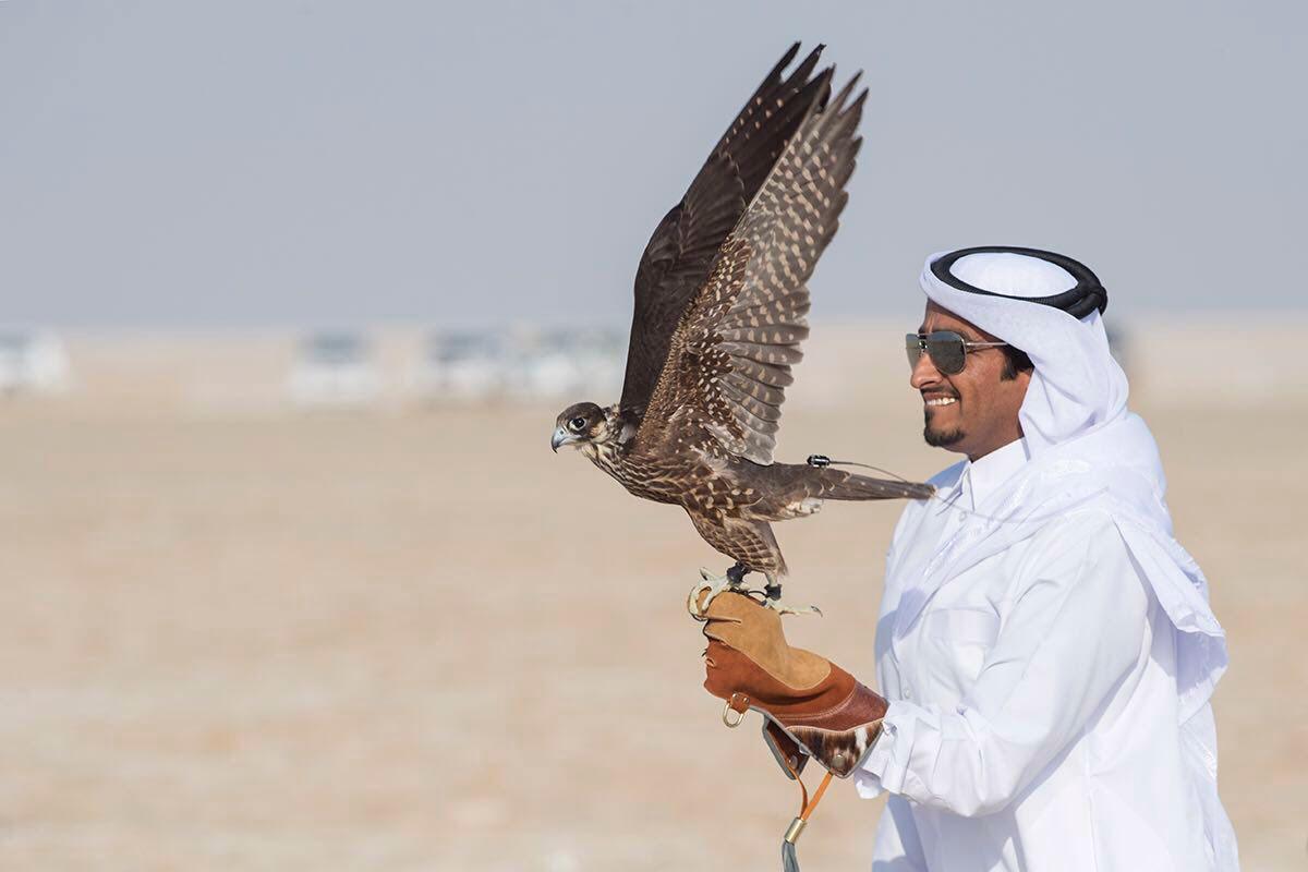 Desert hunting with the falcons of Abu Dhabi