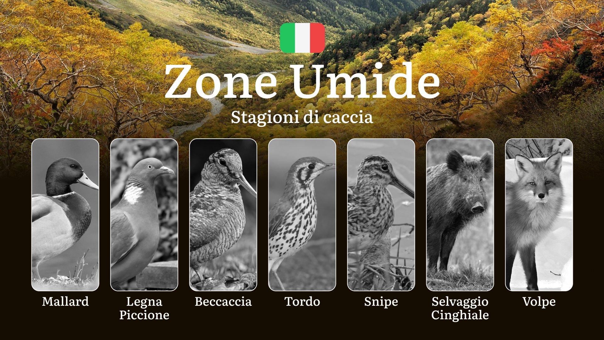 Tra Paludi e Lagune: Calendario Venatorio nelle Zone Umide Italiane con Date e Specie Protette