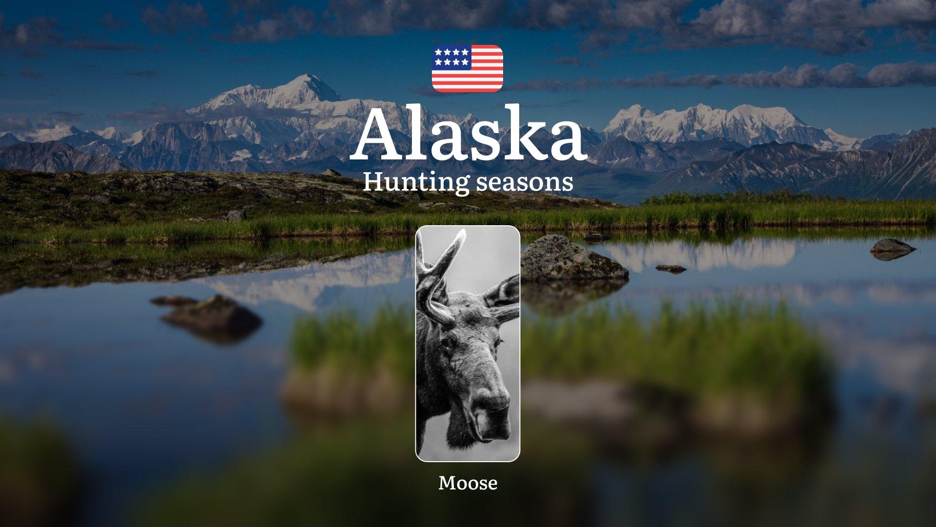 Hunting Seasons in Alaska: Seasonality and Animal Activity Peaks, Penalties for Violating Hunting, Tips and Dates