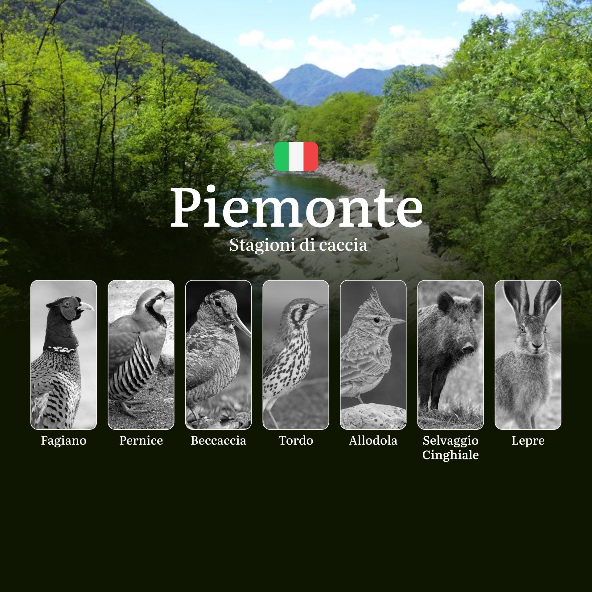 Caccia in Piemonte: Stagioni, Regole, Specie e Consigli per una Pratica Sostenibile