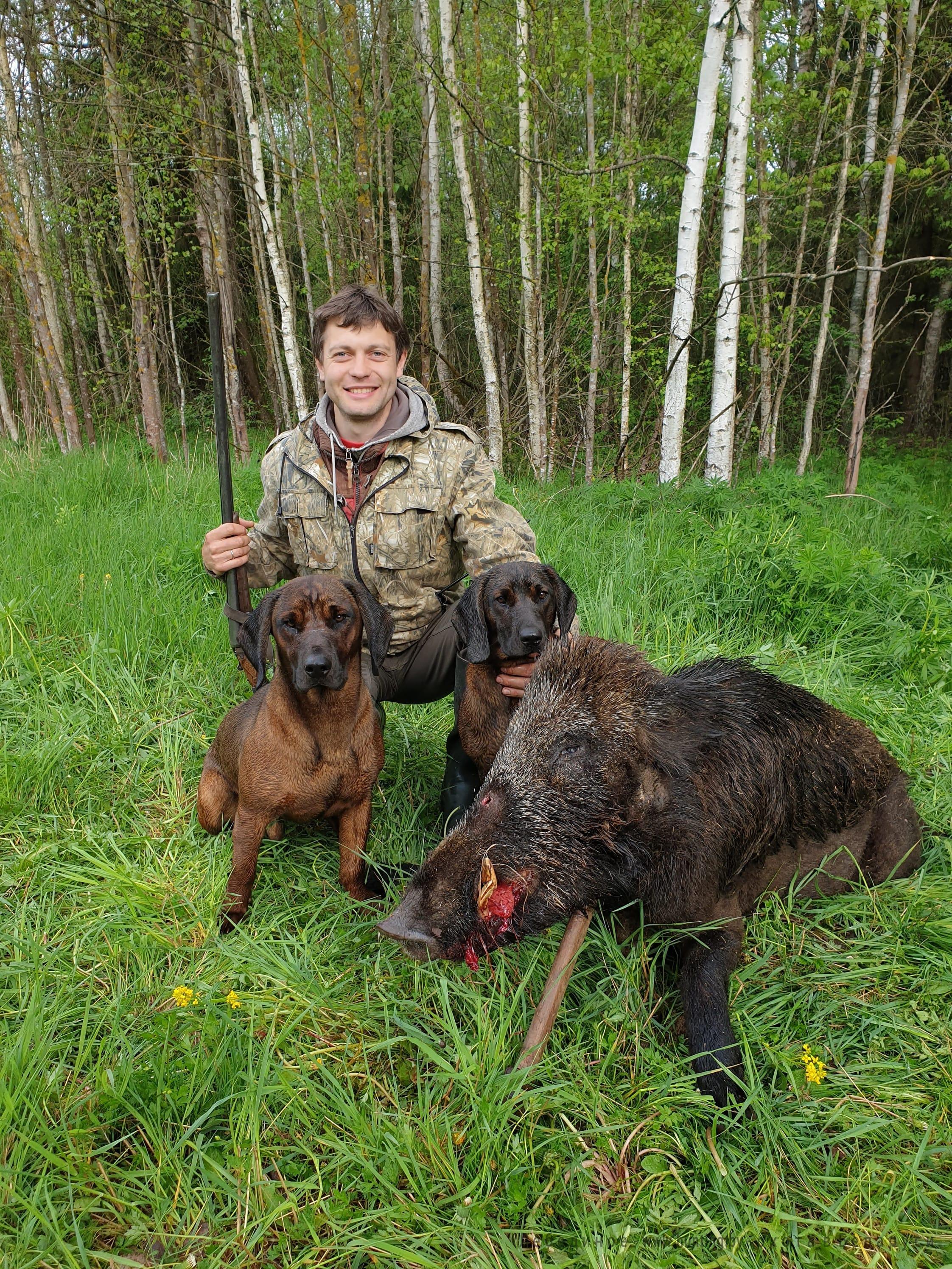 Hunting in Belarus is very popular among locals and foreigners.