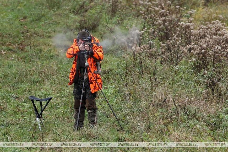 ФОТОФАКТ: Загонная охота на копытных прошла 16 октября на территории национального парка "Беловежская пуща"