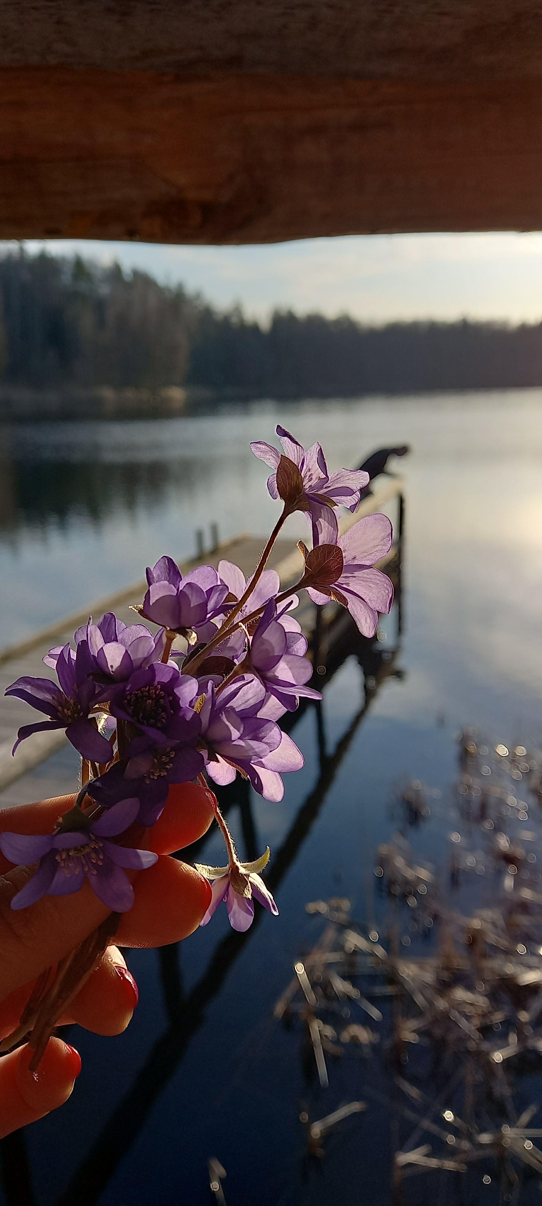 Эхх, весна-весна...