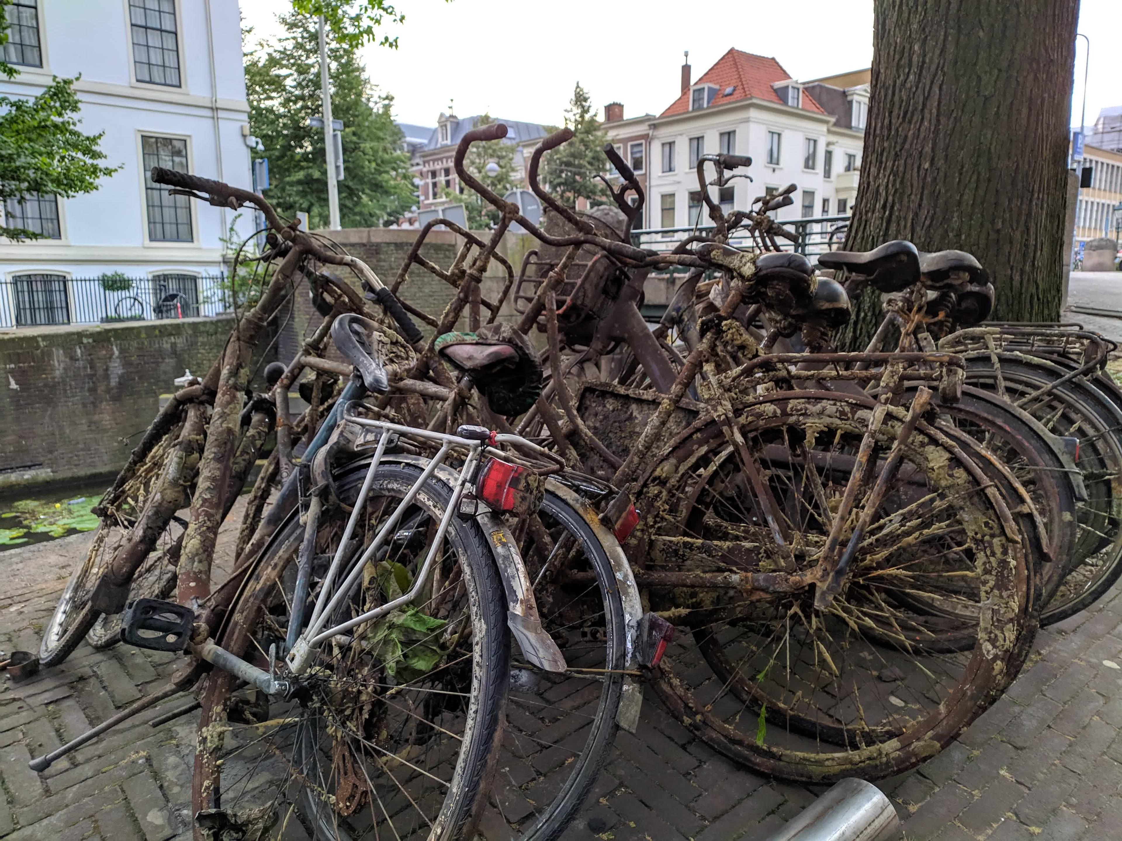 Den Haag 💚