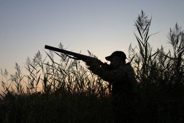 Парадоксально, но количество любителей полуавтоматов растёт пропорционально рядам сторонников полумифической «правильной охоты».