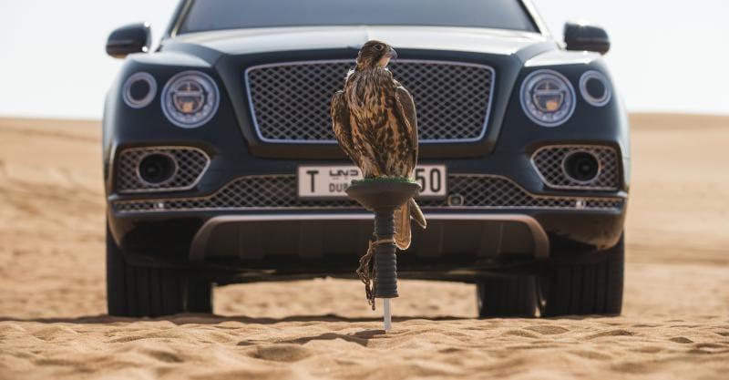 Bentley представляет автомобиль для любителей соколиной охоты