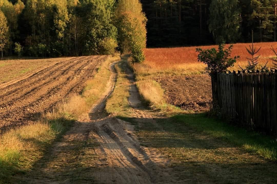 This is Heaven on earth in Poland.