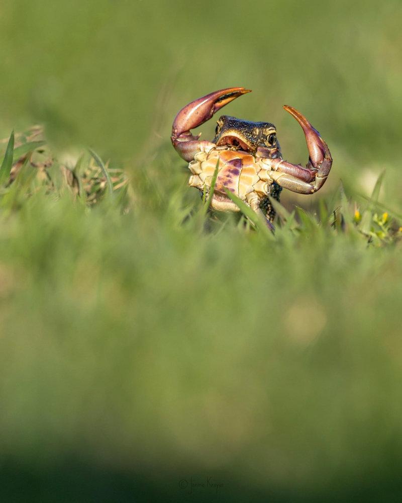 En garde!