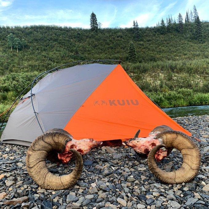 Nothing like bringing a couple of MASSIVE curls back to the camp site.