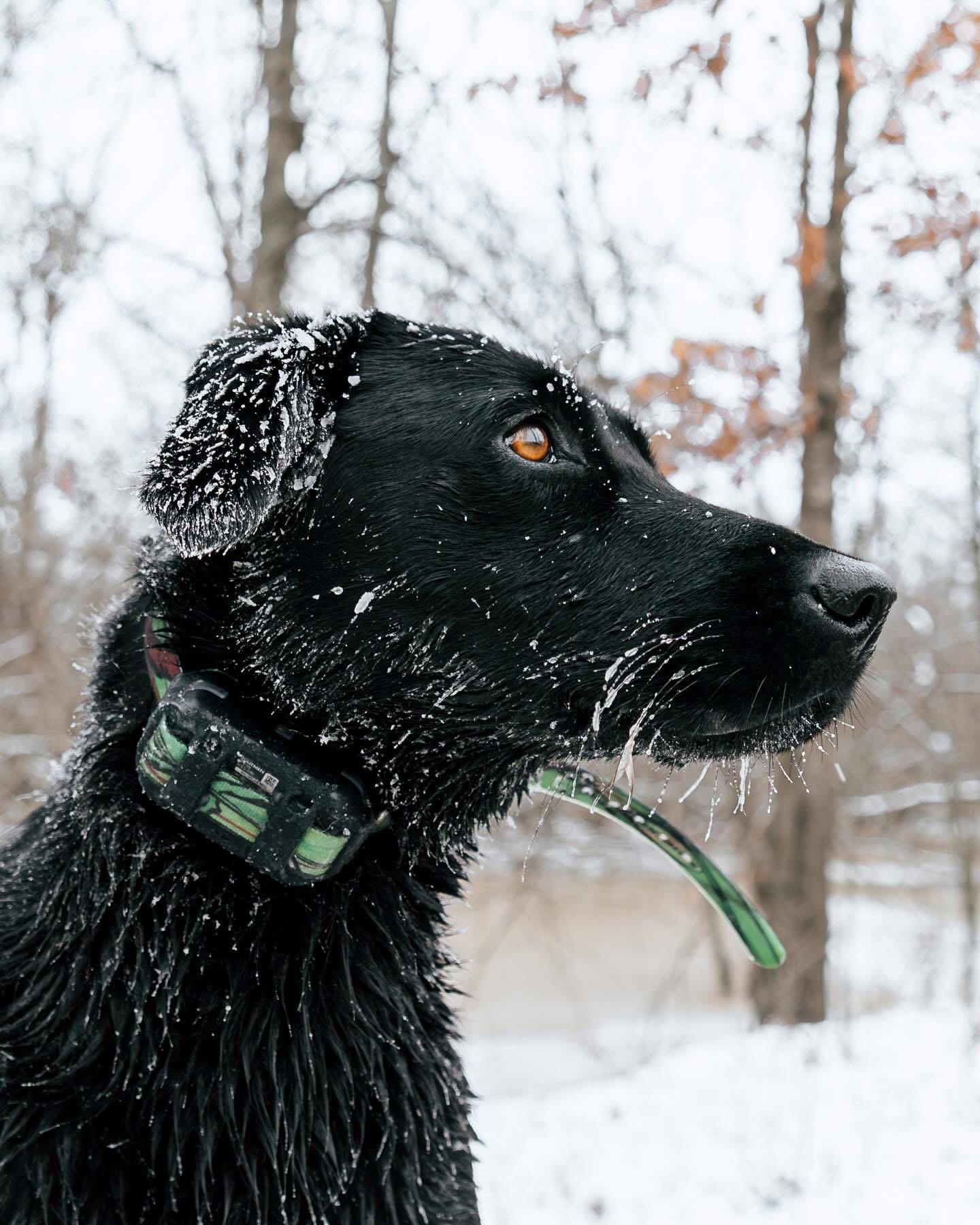 Winter is coming.
