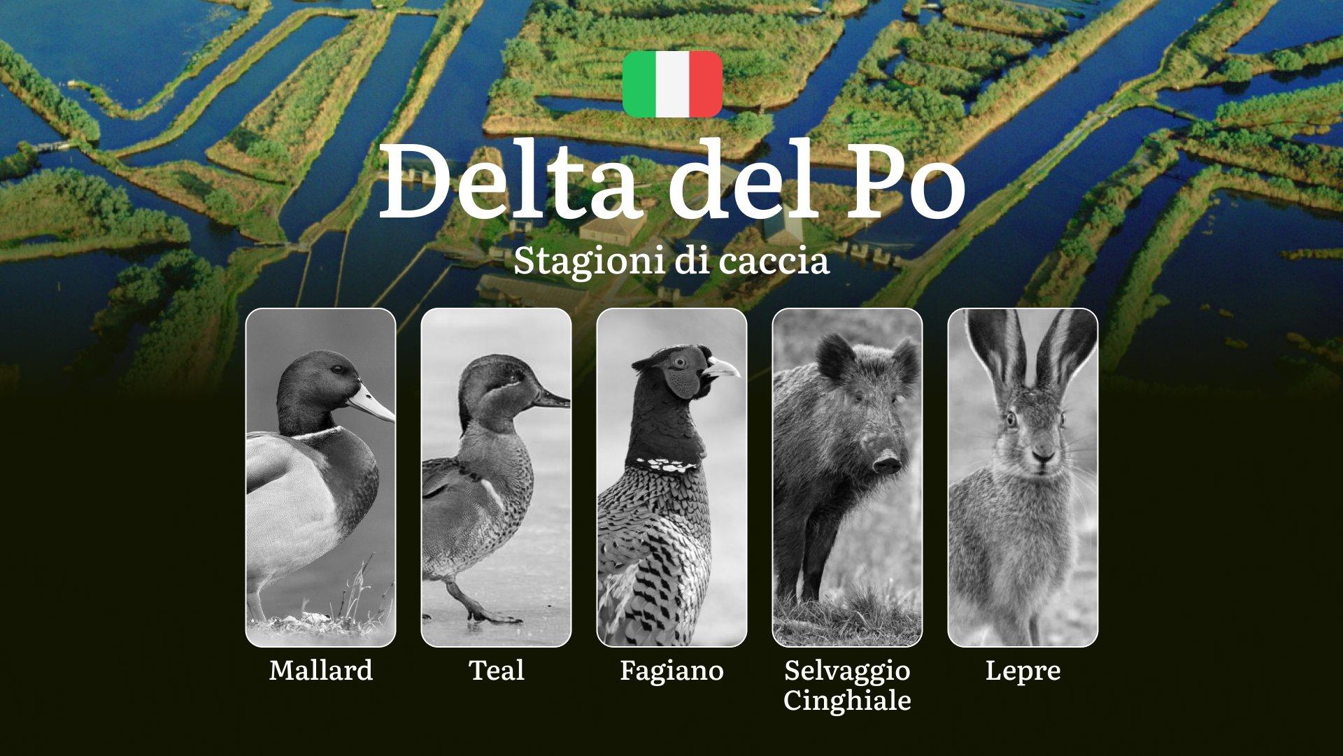 Tra Canali e Paludi: Calendario di Caccia nel Delta del Po con Date e Specie Protette