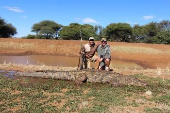 Crocodile Hunts
