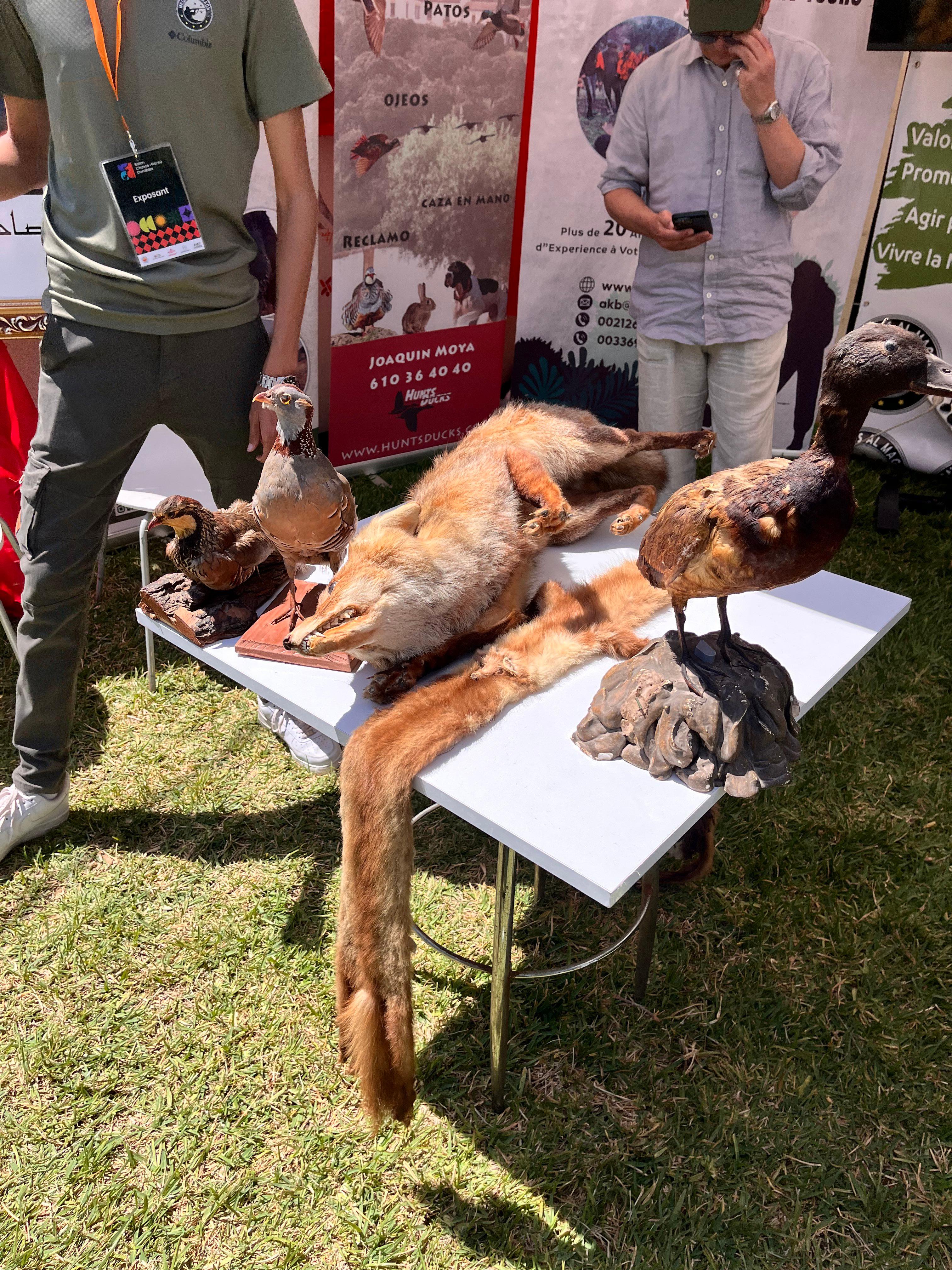 Salon Chasse et Pêche Durables !
