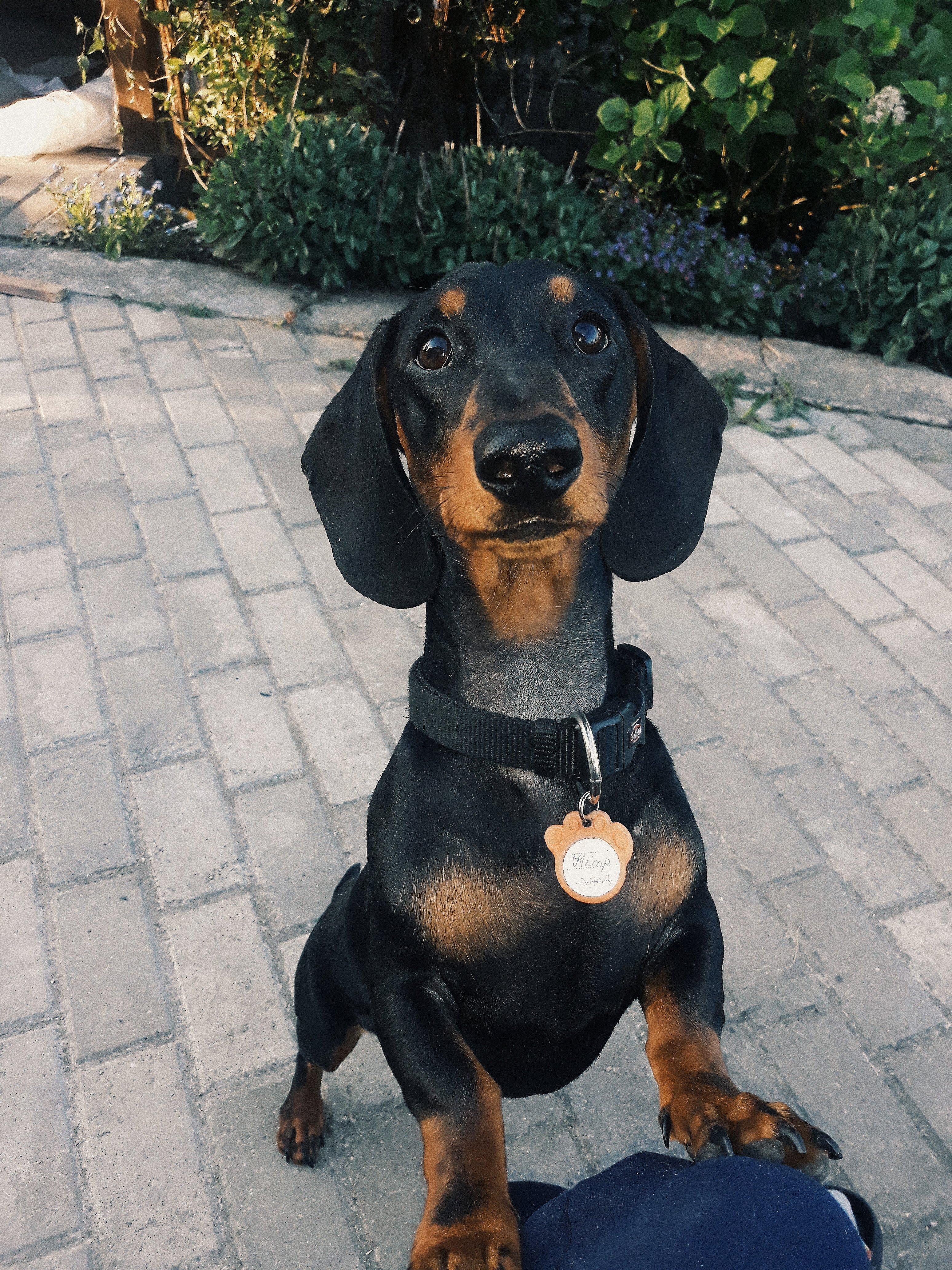 Hi everyone!