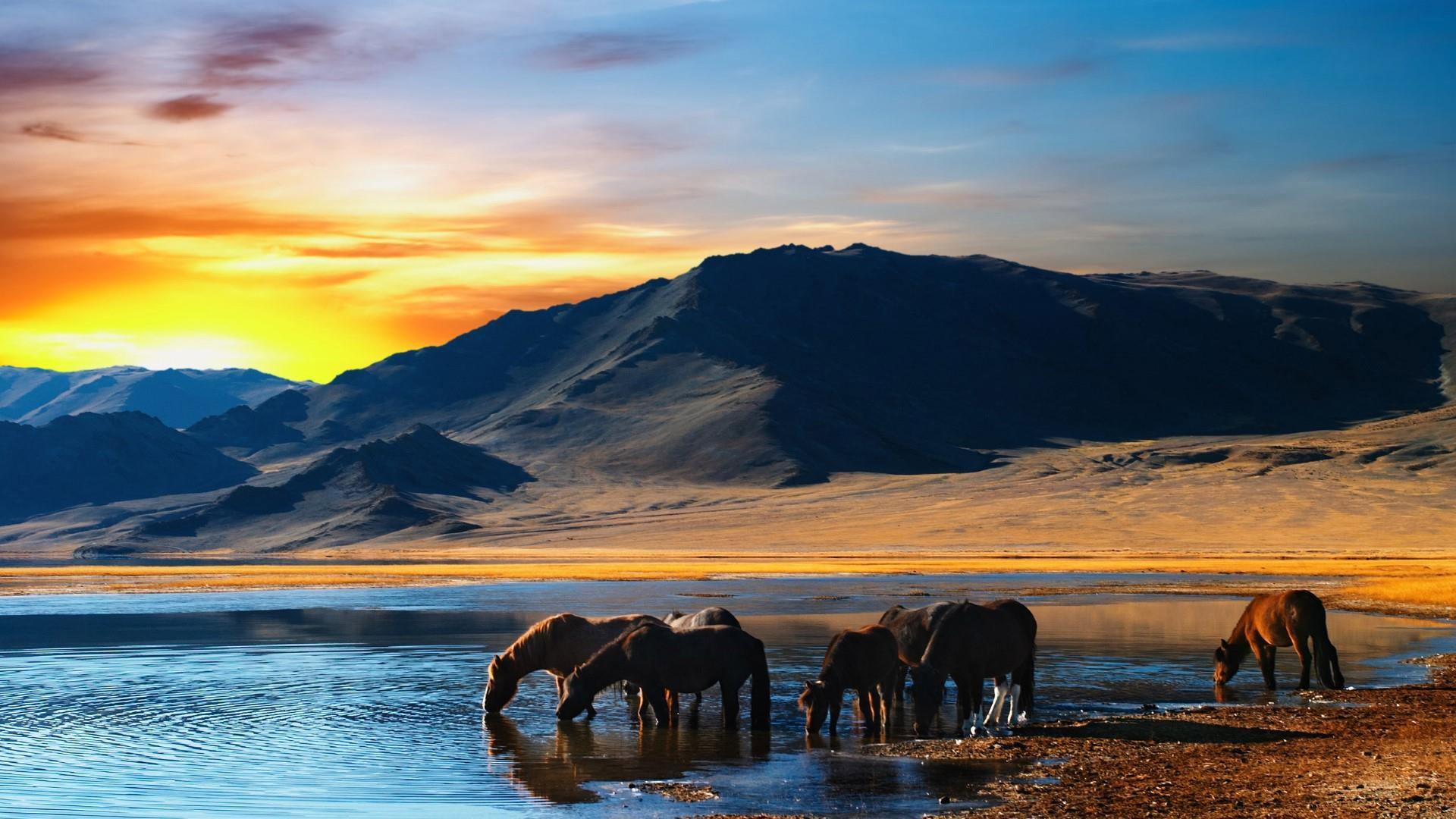 Ten of the world's best hunting destinations