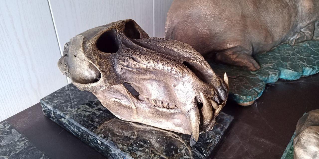🛠Dmitry Popov visited his old taxidermist friend