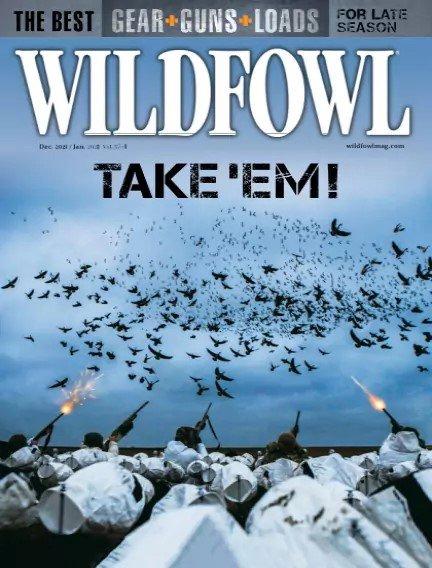 Wildfowl