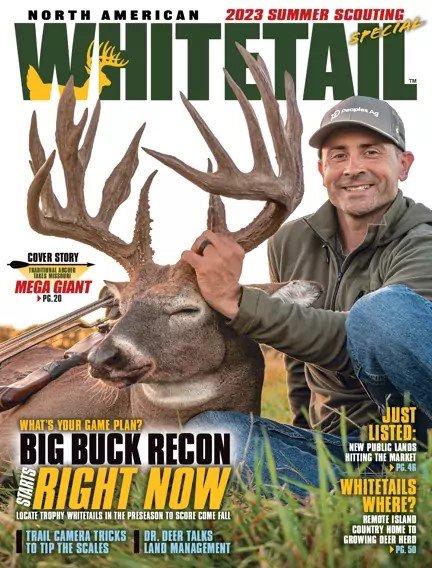 North American Whitetail