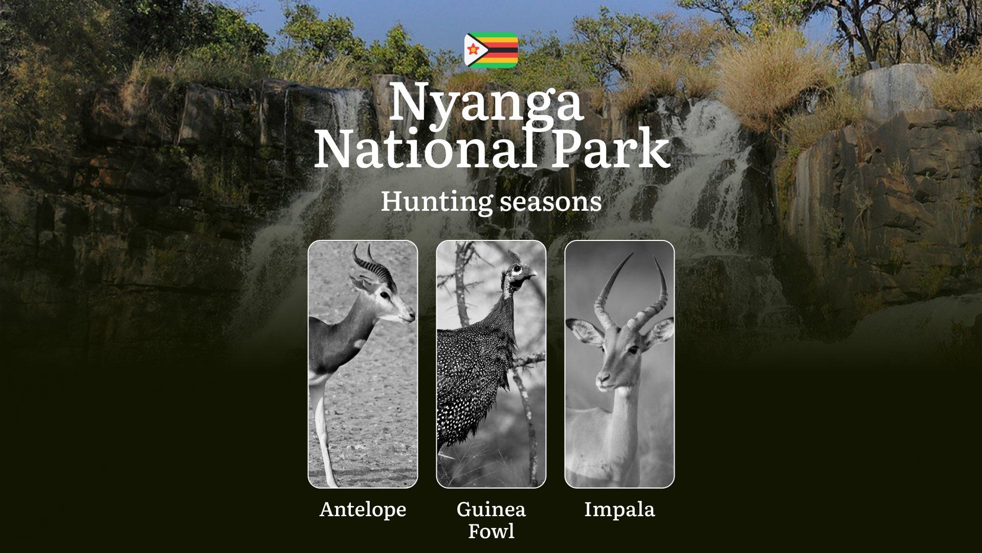 Dates of Hunting in NYANGA NATIONAL PARK, Zimbabwe: Seasons, Licenses, Rules, and Periods, Hunting Permits, Tips for Planning