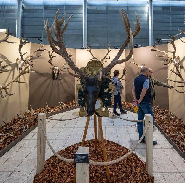 🇨🇿 National Gamekeeping Show 2025