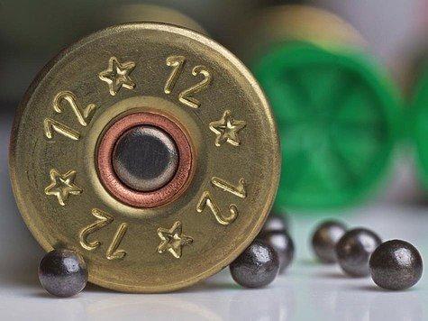 Серую ворону разрешили к отстрелу в Липецкой области
