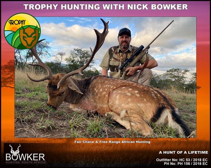 #fallowdeer #hunting #nickbowkerhunting Fallow Deer herd sizes vary with population density from 10- 50 animals.