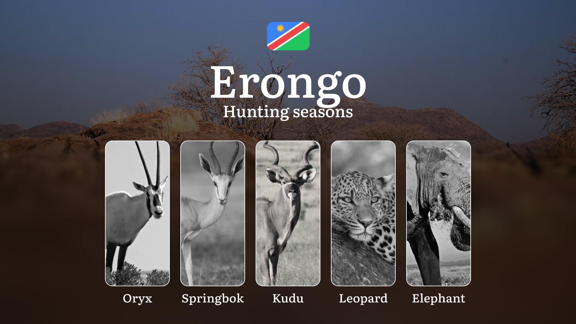 Erongo: Hunting Dates, Species Availability, Seasonal Restrictions, License, Possible Fines, Advice from Hunters, Time Planning, Equipment Essentials
