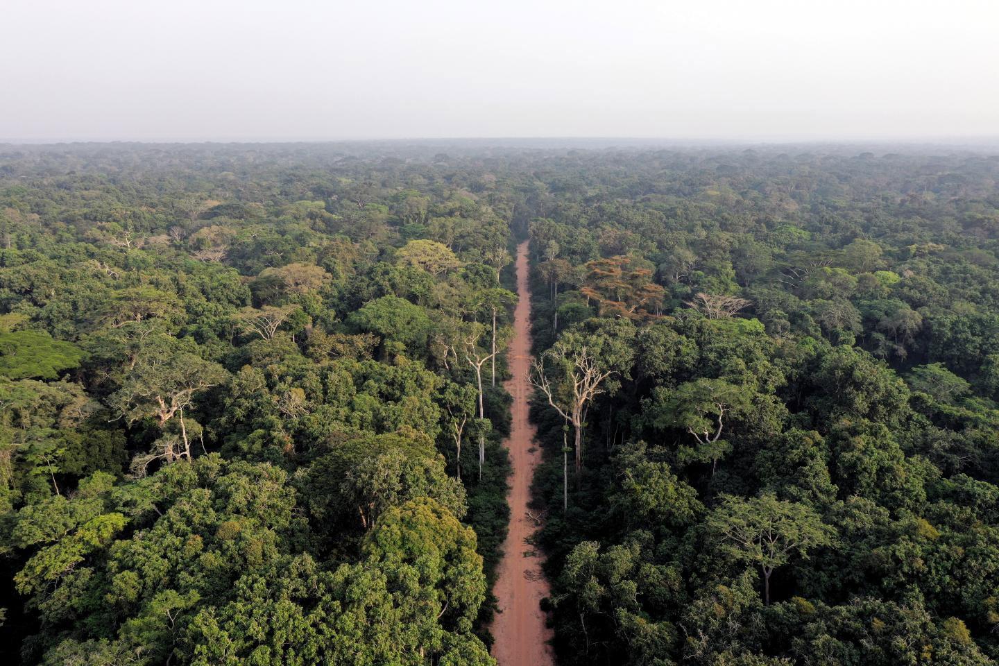 Hunting in Bangui: Exploring Geography, Navigating Regulations, and Discovering Local Traditions