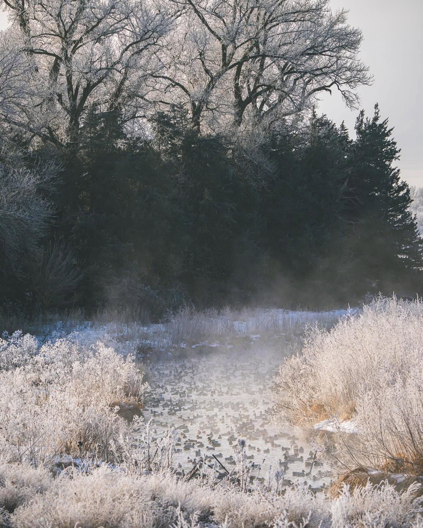 Winter is coming.