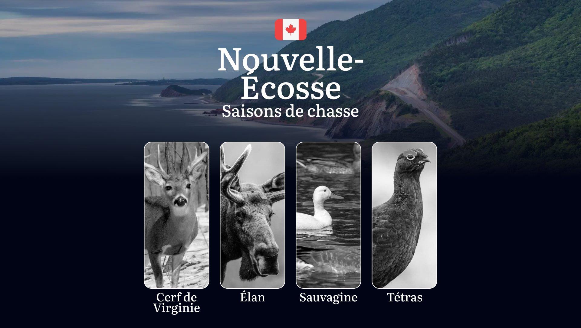 Les périodes de chasse en NOUVELLE-ÉCOSSE: Calendrier des Saisons, Réglementations à Jour 