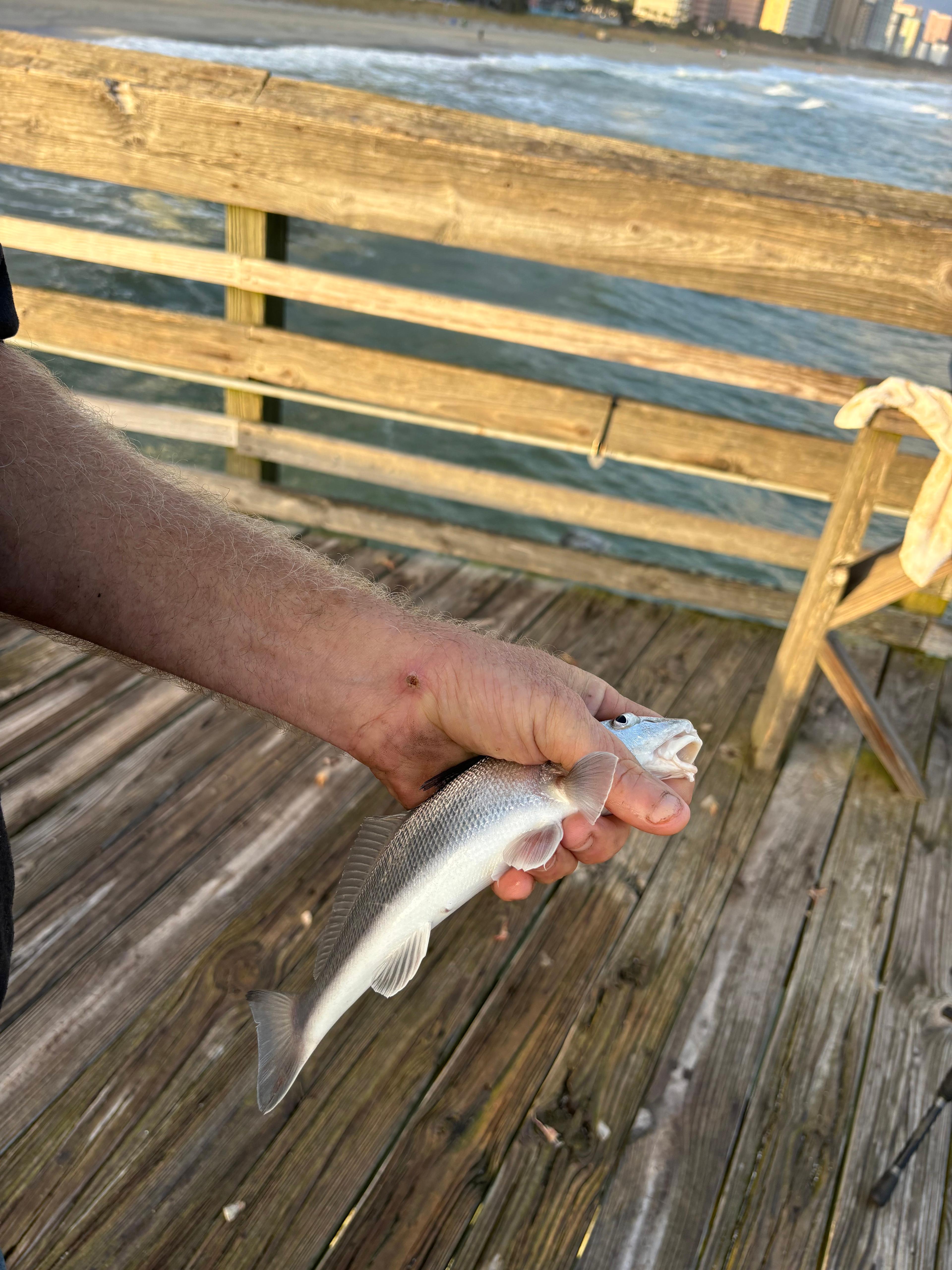 Fishing