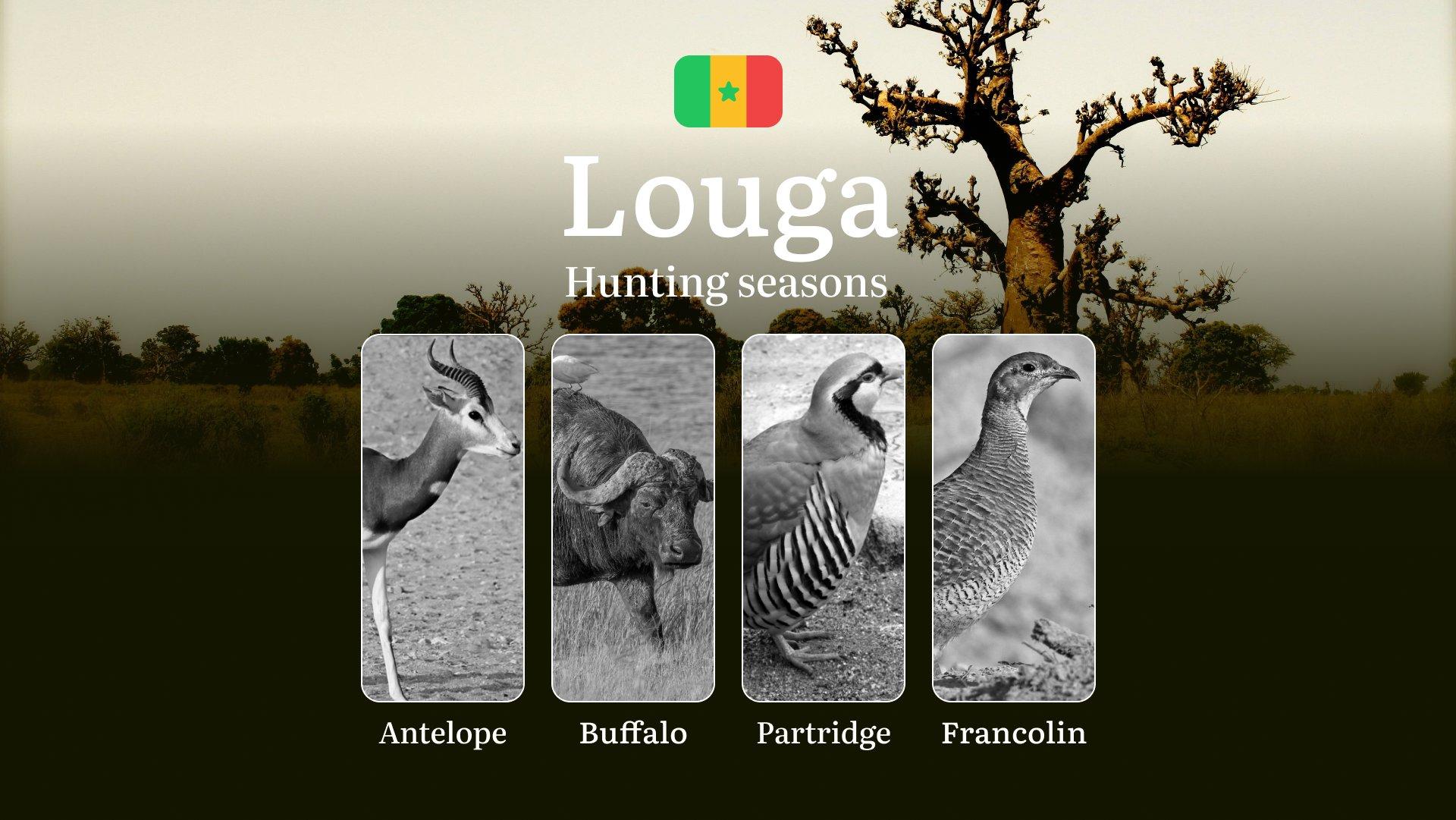 Hunting Seasons in LOUGA Region, Senegal: Hunting Periods, Licences, Rules and the Time for Hunting