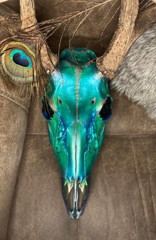 High and low light of a metallic peacock feather inspired euro paint 😁