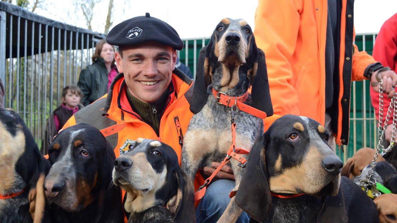 «  Vivre sans mes chiens, c’est pas possible » la dernière vidéo la FACCC
