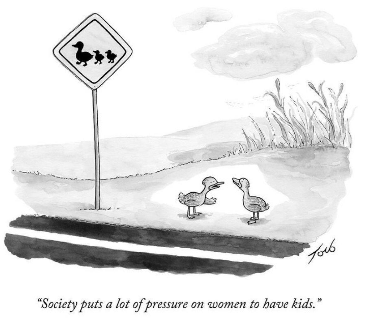 cartoon by @tbtoro, from 2015.