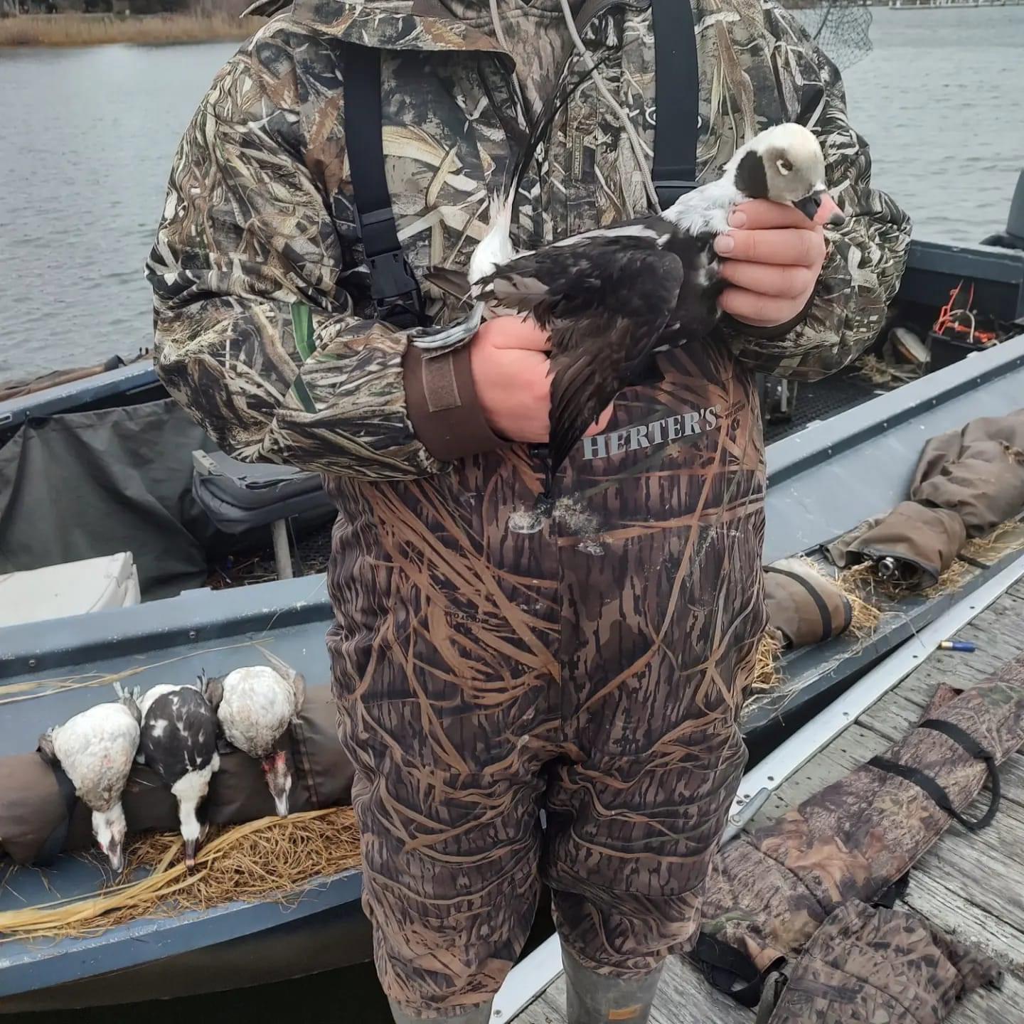 We have 5 openings for a goose hunt on long island NY Oct 14th.