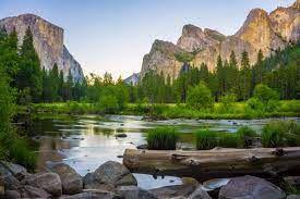 STUDY: BEING CLOSE TO NATURE REDUCES THE RISK OF STROKE