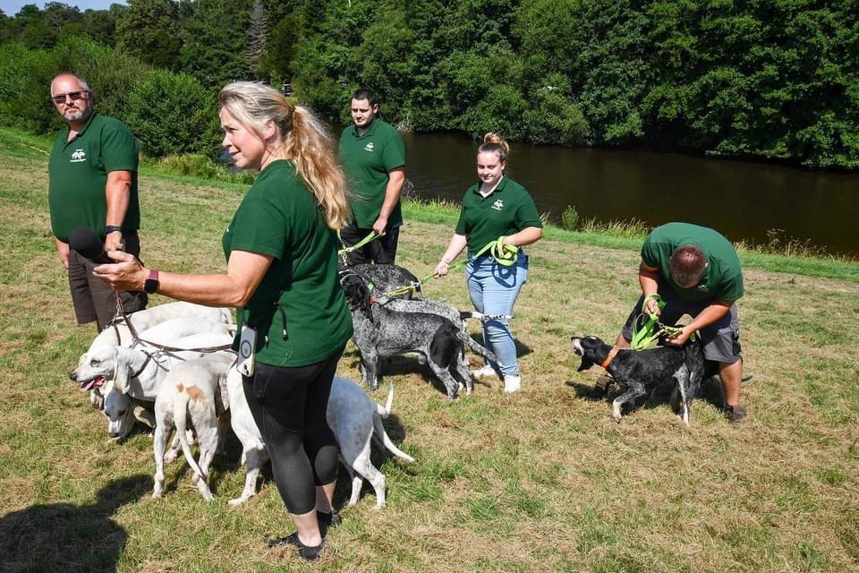Retour en images sur notre journée de dimanche à la fête de la Chasse et de la nature à Bonnat (23) où l’équipage à passé une superbe journée.
