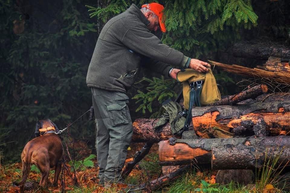 🐗🐗🐗 Wild boar hunting in deep forests.
