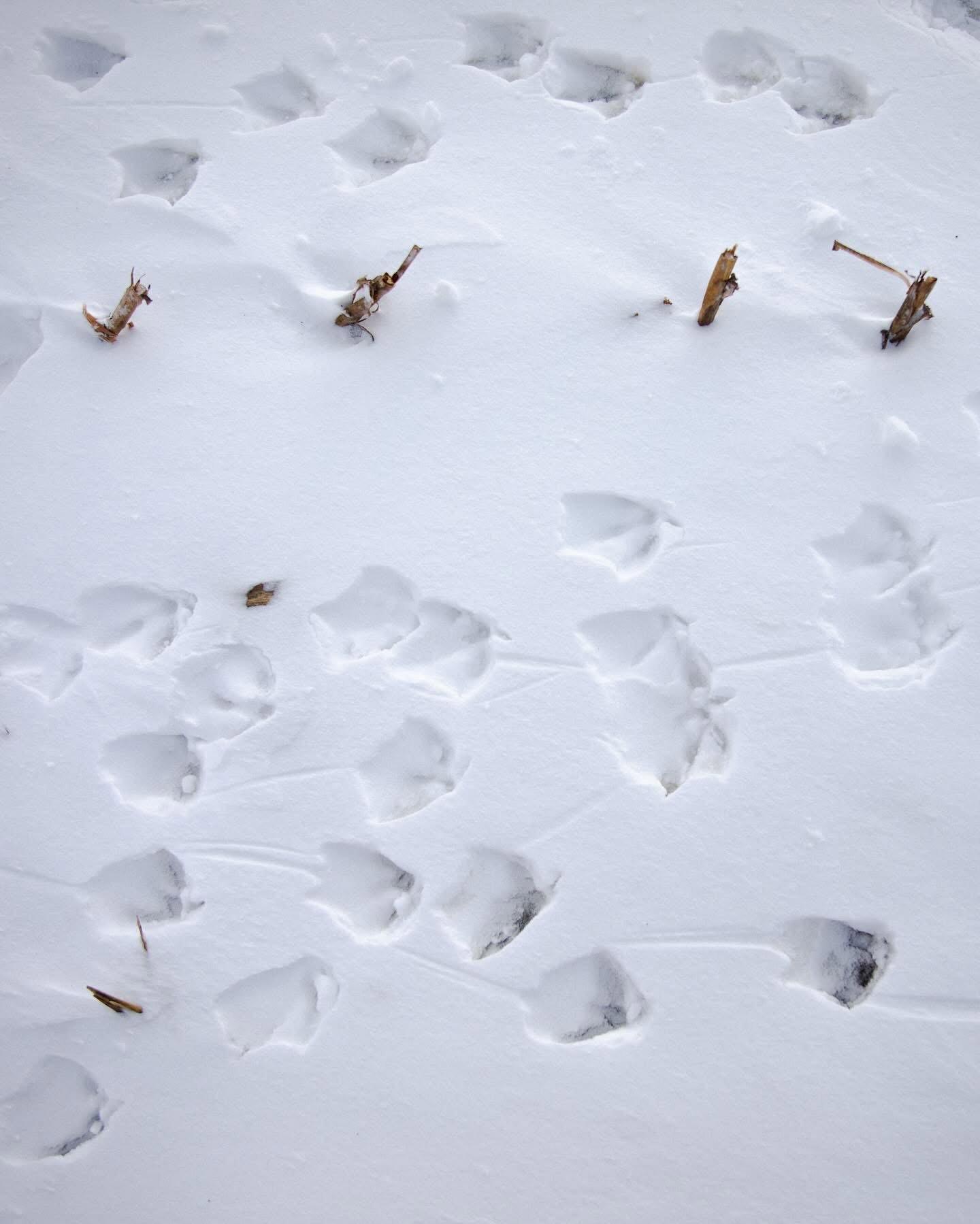 Winter is coming.