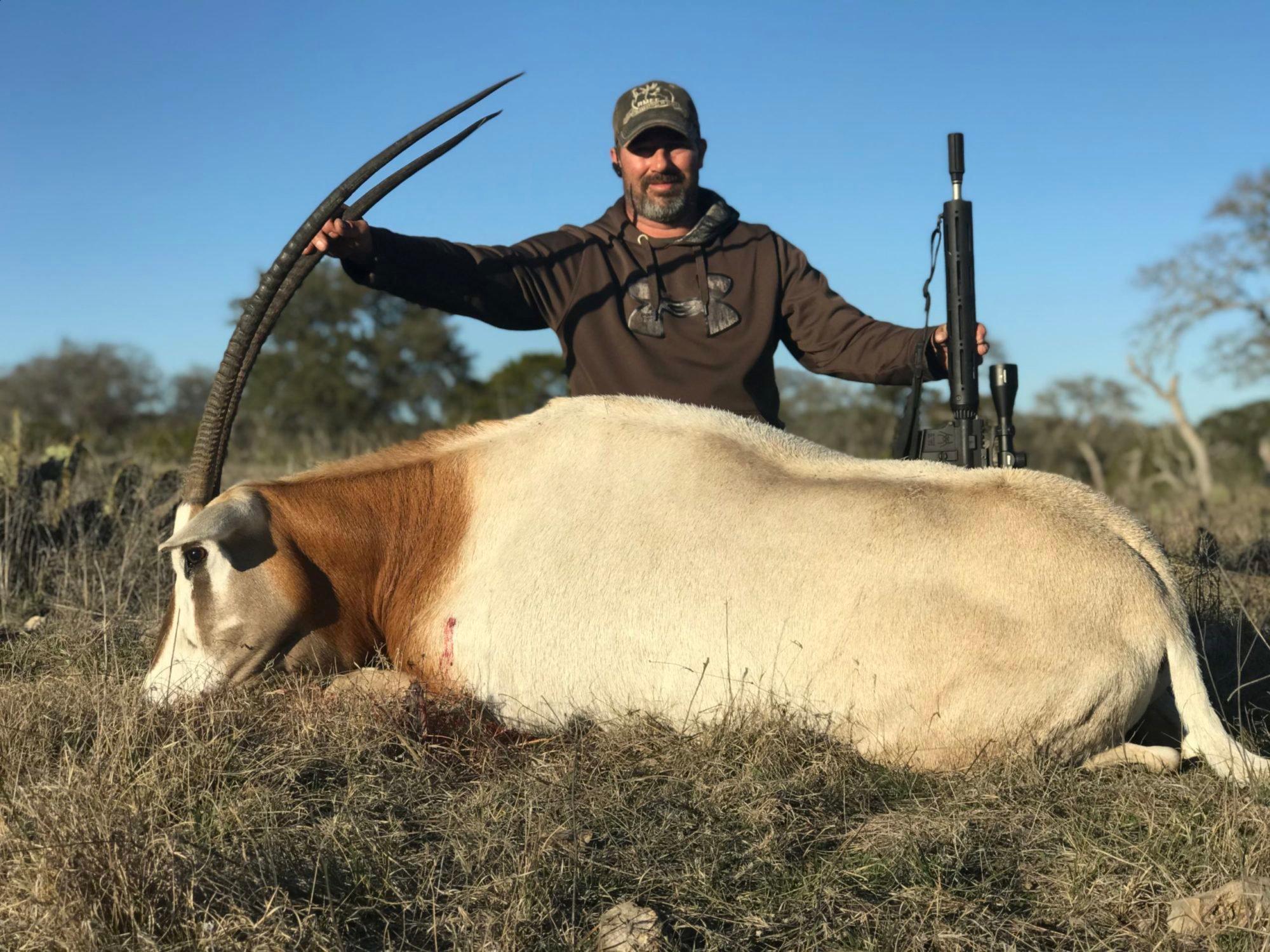 Hunting Terrain in BÉJA: Clubs and Communities, Laws and Legislation, Hunting Practicies in Tunisia