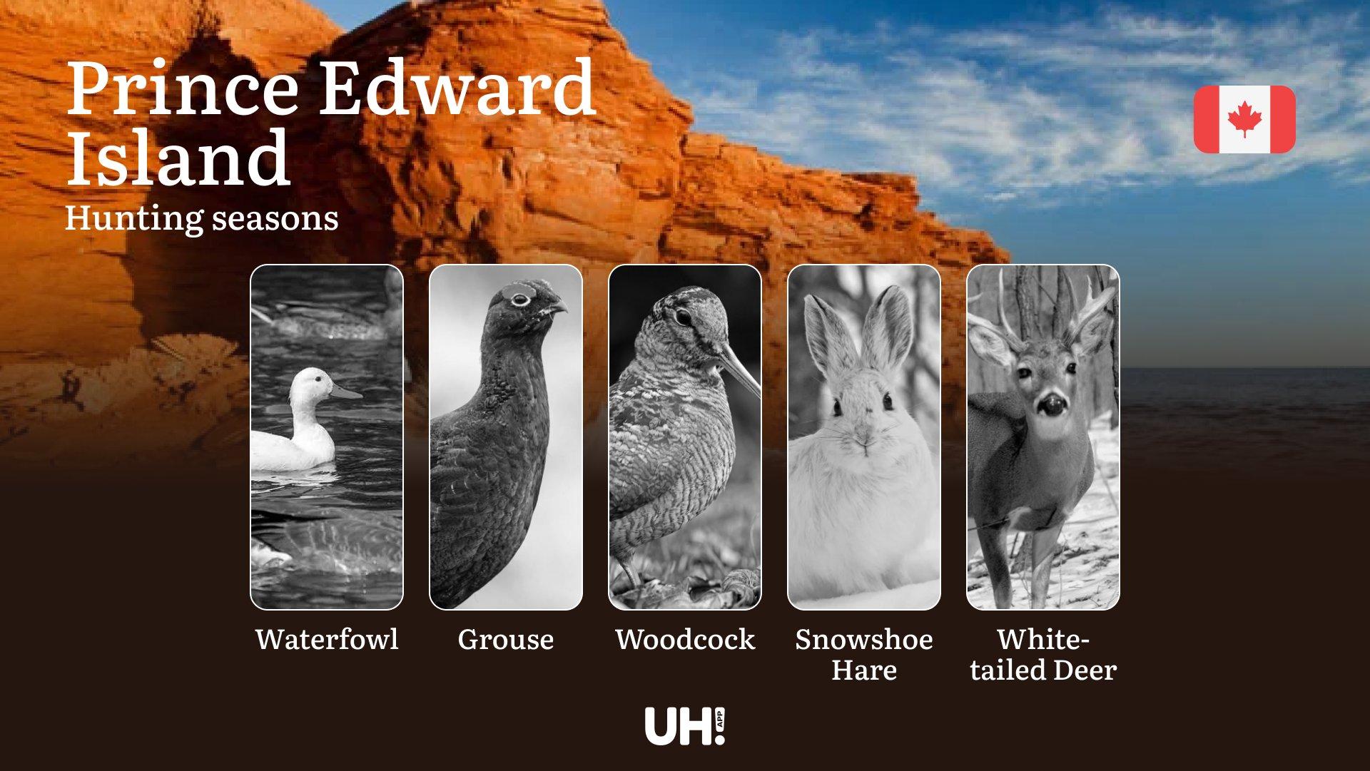 Hunting Seasons in PRINCE EDWARD ISLAND: Key Opening/Closing Dates, License Requirements and Essential Rules 
